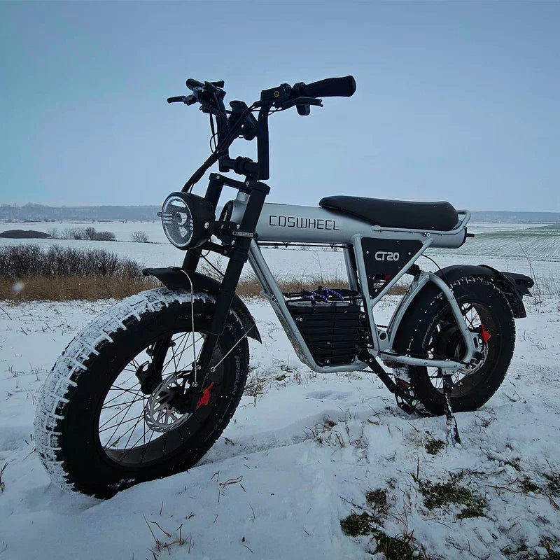 CT20 Electric Cycle 48V 25AH Lithium Battery Adult Mountain Ebike 2000W Mountain Electric Men'S Moped Road E Trucks