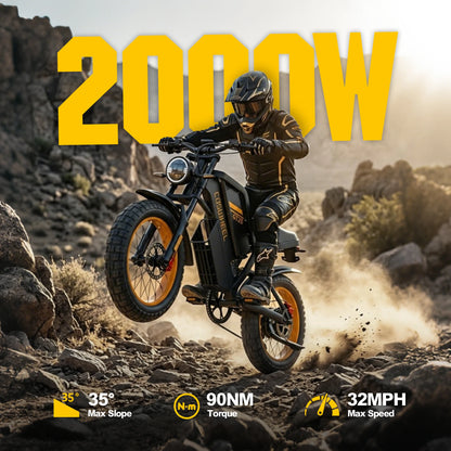 GT20 Electric Bike 2000W Motor 48V 25AH Lithium Battery Adult Electric Bicycle 20*4.0 -In Fat Fire Mountain E-Bike