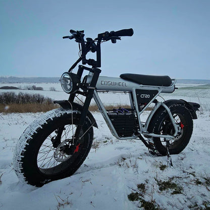 CT20 Electric Cycle 48V 25AH Lithium Battery Adult Mountain Ebike 2000W Mountain Electric Men'S Moped Road E Trucks